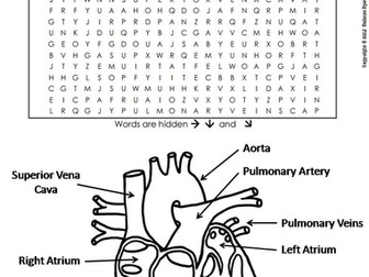 The Heart and Circulatory System Word Search