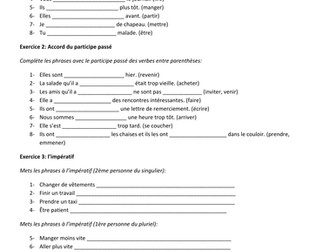 IB French grammar test