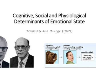 Schachter and Singer (1962)