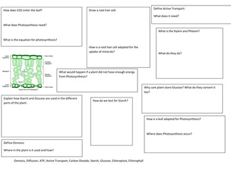 AQA B2 Photosynthesis and Respiration revision map