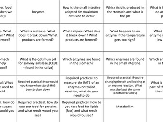 AQA Combined Science GCSE - Biology 1 Revision flashcards
