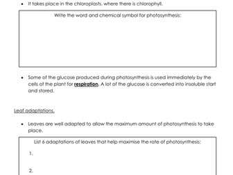 New AQA Biology Photosynthesis revision