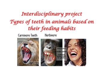 Interdisciplinary (Biology and maths)Project -Types of teeth in animals based on their feeding habit