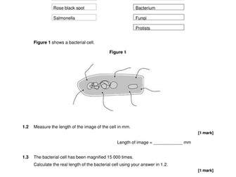 AQA biology Trilogy infection and response end of unit test