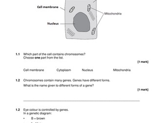 AQA Biology trilogy inheritance end of unit test