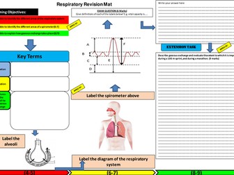 Respiratory System Learning Mat