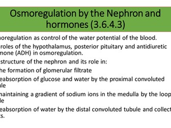 Osmoregulation by the Nephron and hormones (3.6.4.3)