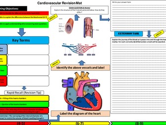 Cardiovascular System revision mat