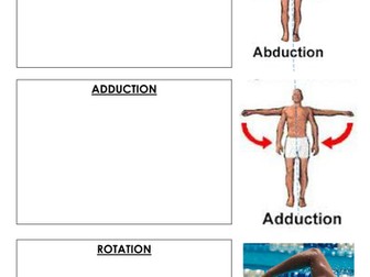 AQA GCSE PE (2016 specification) Skeletal system worksheets