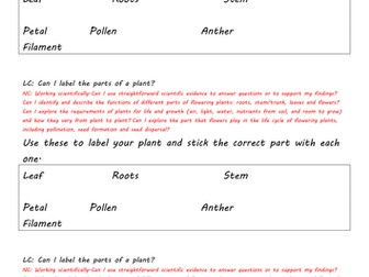 Matching parts of plant to functions