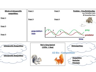 Competition Learning Mat