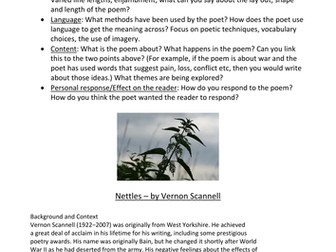 Unseen poetry GCSE Literature, Nettles