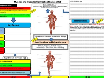 Muscles and Muscular Contraction Revision Mat