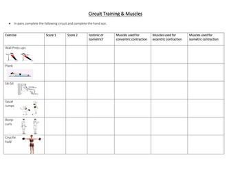 Circuit Training & Muscular contraction worksheet