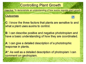 Phototropism lesson
