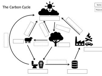 Carbon Cycle Card Sort