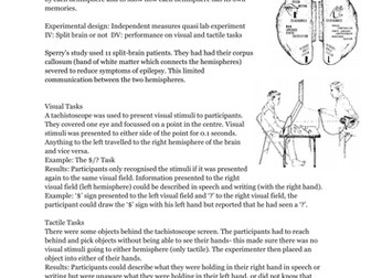 Sperry summary sheet