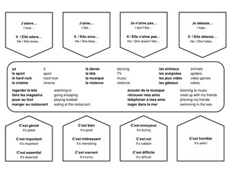 French Mindmaps - Essential opinions (13+ / GCSE)