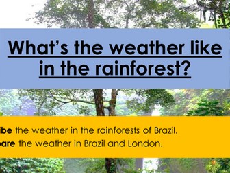 What's the weather like in the rainforest? Climate graph and forecast for Brazil
