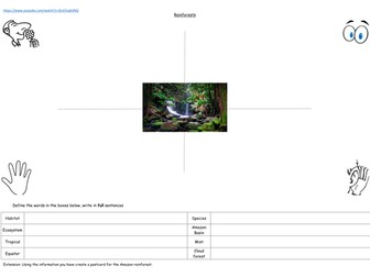 Introduction to the rainforest worksheets