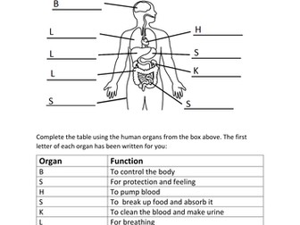 Human organs worksheet SEN