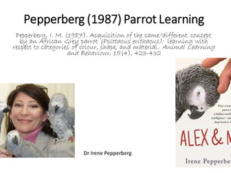 Pepperberg (1987)