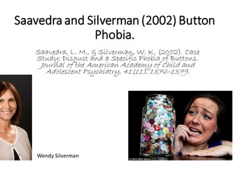 Saavedra and Silverman (2002)
