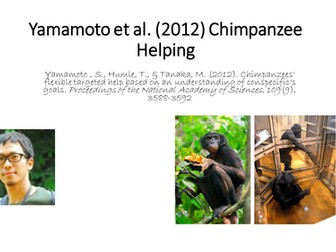 Yamamoto et al. (2012)