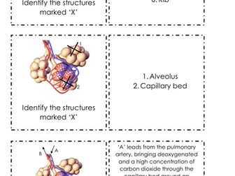 Revision cards for AQA AS/A Level Biology **Update July 2023