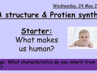 New AQA GCSE Biology Inheritance L3: DNA and Protein Synthesis