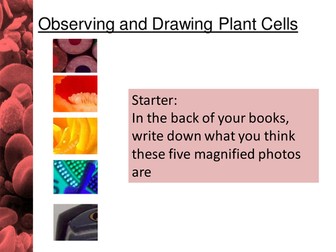 KS3 Biology Cells Tissues and Organs | Teaching Resources