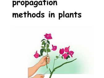 Artificial propagation in plants