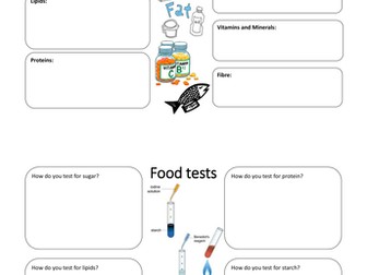 KS3 Year 8 Revision Worksheets - Activate course