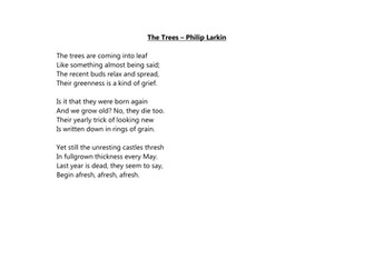 The Trees Assessment Q