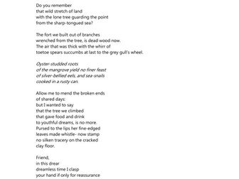 Friend by Hone Tuwhare Assessment Q