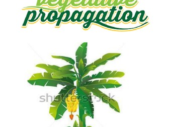 Vegetative propagation in plants