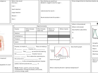 AQA B2 Organisation summary broad sheet