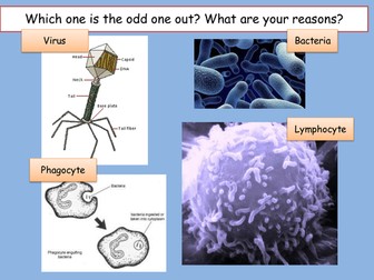 Antibiotic Resistance Differentiated Student Led Lesson for AQA Trilogy