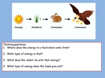 Energy in food lesson with worksheets and differentiation