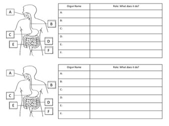 Student led, differentiated digestion lesson for low ability year 8
