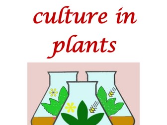 PLANT TISSUE CULTURE