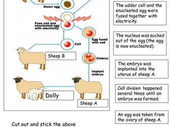 New AQA GCSE Biology Inheritance Lesson 9: Cloning