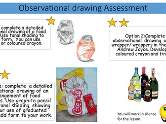 Observational drawing assessment task sheet