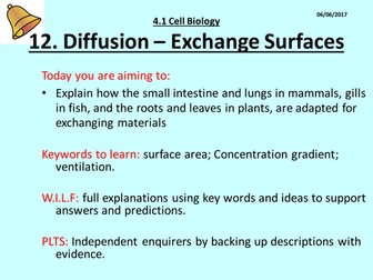 Lesson 12 Diffusion Exchange Surfaces AQA Trilogy GCSE (9-1) 4.1 Cell Biology