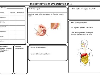 New AQA GCSE Organisation and Enzymes Revision