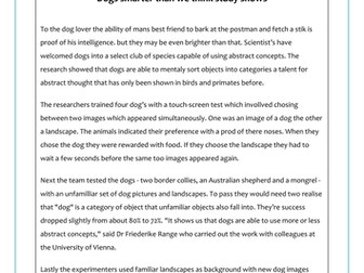 Editing and Proofreading - Dogs
