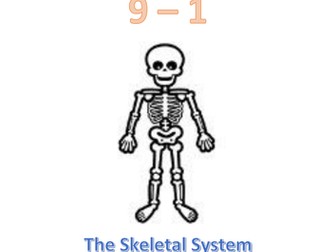 OCR GCSE PE 9 - 1 (New Spec) 1.1.a The Skeletal System Workbook