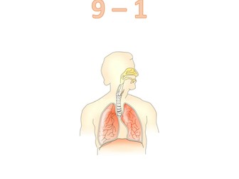 OCR GCSE 9 - 1 (2016 New Spec) 1.1.c The Respiratory System