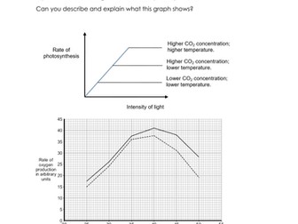 Bioenergetics review questions  - photosynthesis and respiration