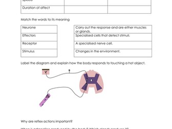 Hormones, homeostasis and response review questions